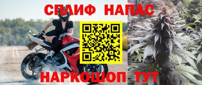 бошки Будённовск