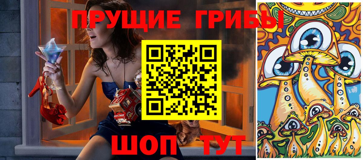 Чебоксары  Галлюциногенные грибы Psilocybe  Вход с VPN 